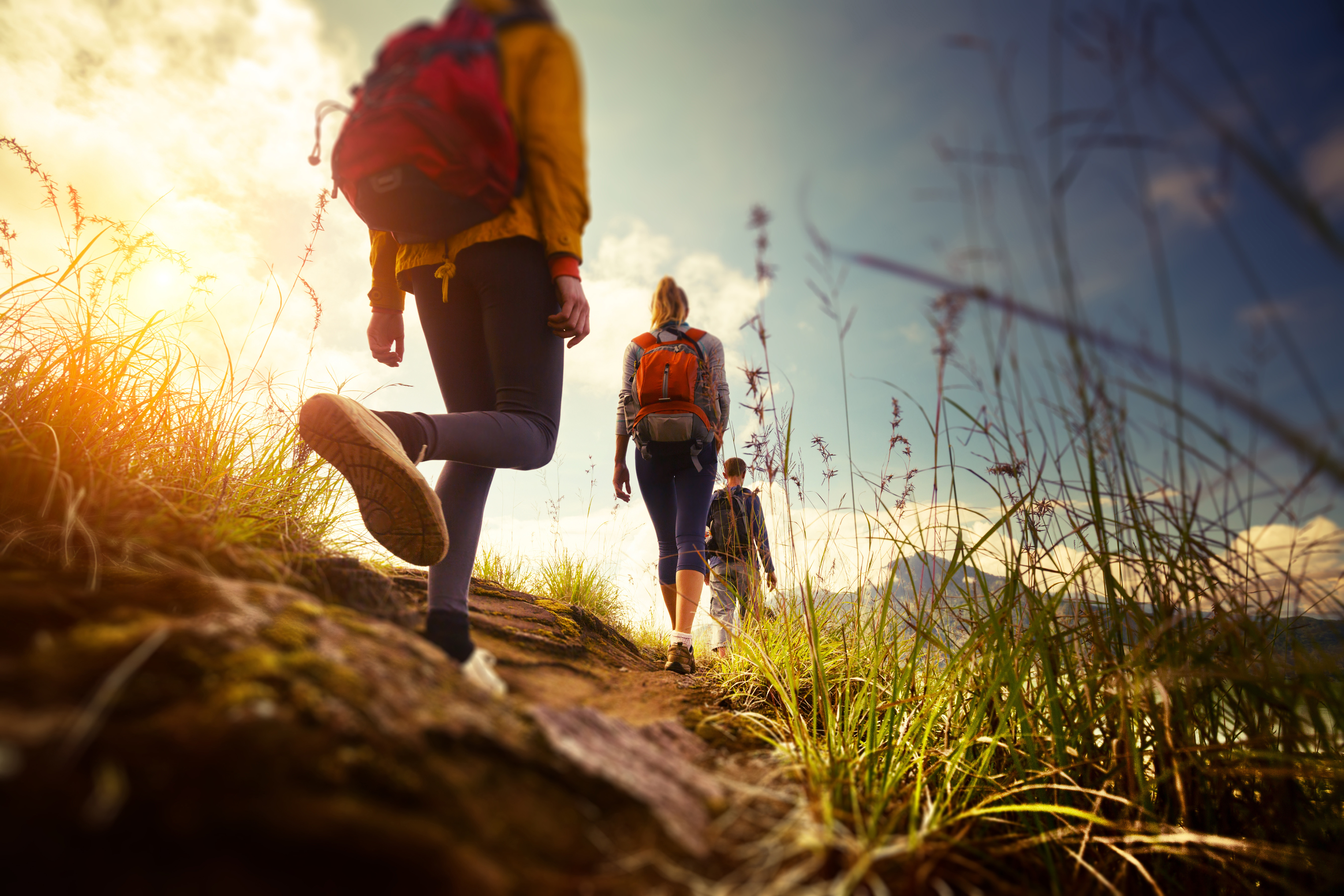 Group Hike.jpg